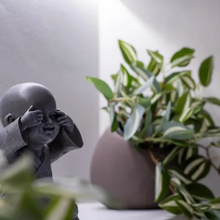 Naos With Free Private Parking Of Stayinthess *