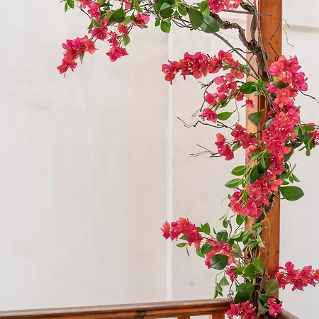 Naos With Free Private Parking Of Stayinthess