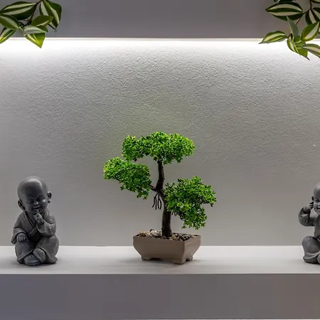 Naos Apartment *